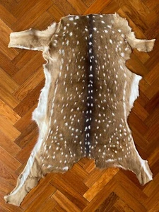 Tanned AXIS Deer SKIN LEATHER Chital HIDE RUG Argentine Deerskin - REAL PHOTOS ! - Picture 1 of 5