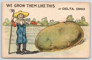 Delta Ohio ~ Heusamenbauer mit übertriebener Kartoffel ~ Hacke halten ~ großer Overall ~ um 1910 - Bild 1 von 2