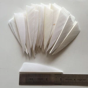 50PCS 3inch White Shield Archery Fletches Fletching Arrow Feathers RW LW - Picture 1 of 7