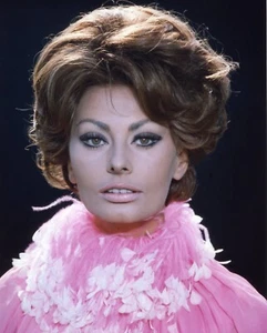 Sophia Loren 5x7 Movie Memorabilia - Picture 1 of 1