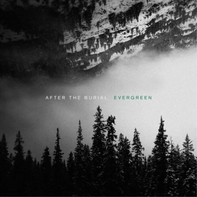After the Burial Evergreen (CD) Album - Bild 1 von 2
