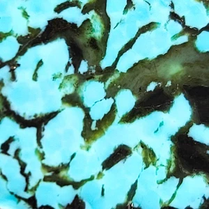 GS1004 Kingman & Turquoise Mtn. mixed turquoise rough slabs 50.7 grams, lapidary - Picture 1 of 12