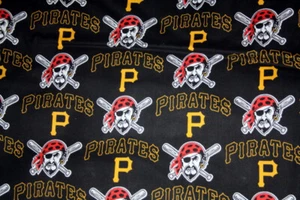 60 ZOLL BREIT PITTSBURGH STEELERS III NFL - 1/2 YARD 18X60 100 % BAUMWOLLSTOFF - Bild 1 von 5