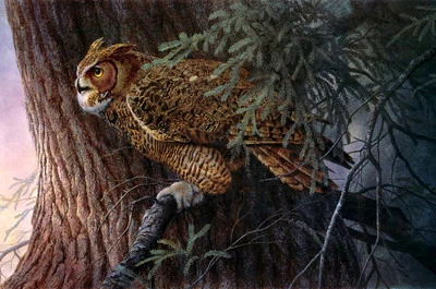 Wall Canvas Print Oil painting Picture Animal Owls in a tree on canvas L835 - Image 1 of 4