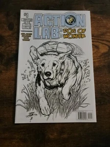 Action Lab:  Dog of Wonder Issue 1 First Issue Collector's Item 2016 NM - Picture 1 of 2
