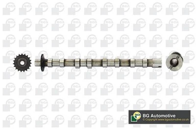 Camshaft for Peugeot 407 2.2 4HP(DW12BTED4) HDi 2008-2010 Estate BGA CS6704 - Image 1 of 4