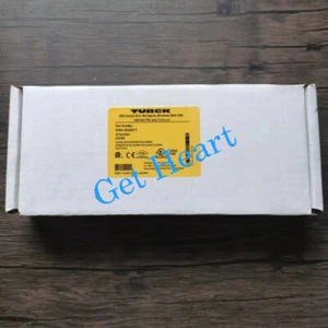 NEW TURCK FDNL-N1600-T module F0139 FedEx or DHL or UPS - Picture 1 of 1