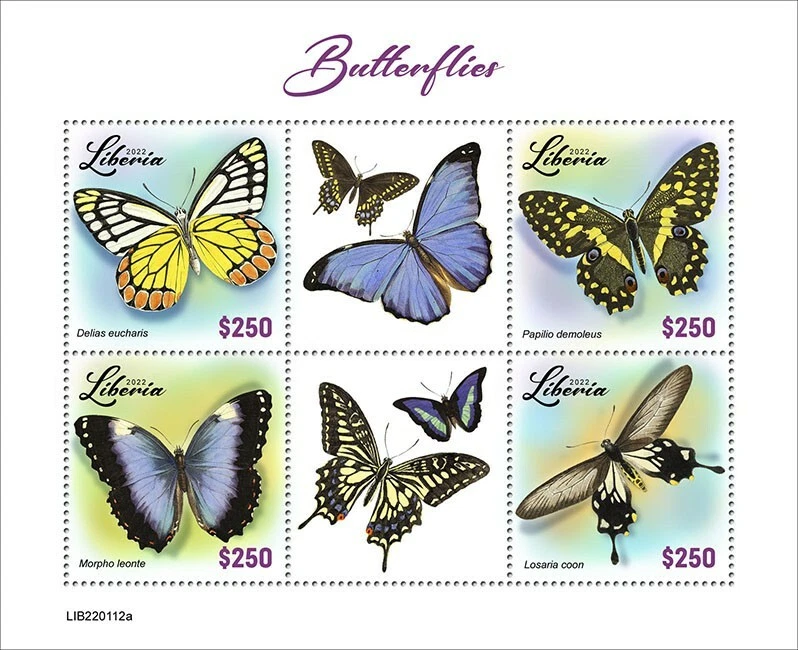 Selos de borboletas Libéria 2022 MNH Morpho rabo de andorinha borboleta limão 4v M/S - Imagem 1 de 1
