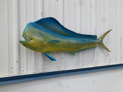 60" Bull Dolphin (Mahi-Mahi) réplica de suporte de parede dois lados - produção rápida - Imagem 1 de 4