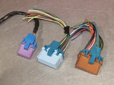 1999 - 2002 雪佛兰 Tahoe 原始设备制造商车身控制模块连接器尾部套件 00 01 02 — 第 1/3 张图片