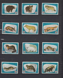 Série étiquettes Allumettes Yougoslavie  Animaux   Ours  - Imagen 1 de 1