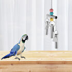Colorful Parrot - Swing, , & Play with Bell String &
