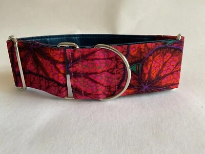 Collar Martingala, 2 pulgadas (5 cm) de ancho para PEQUEÑOS galgos o whippets Foto 1 de 4