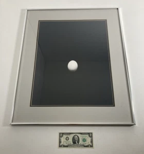 Vintage Original Black & White Photography Fantastic Modernist Egg 1979 -Signed - Picture 1 of 10