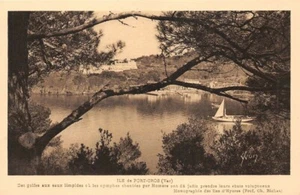 ILE DE PORT-CROS - Monographie des iles d'Hyères (Prof.Ch. Richet) - Imagen 1 de 2