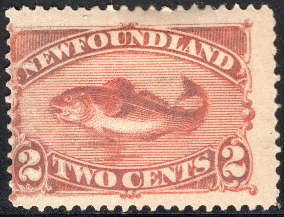 Newfoundland Stamp Scott #48, 2c, Codfish, Red Brown, MH, SCV$37.50 - Image 1 of 1