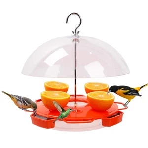 Solution4Patio Baltimore Oriole Feeder Hummingbird Combination, 3 Types Food,... - Picture 1 of 6