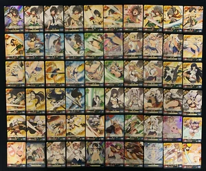 Senran Kagura Unlimited vs ASUKA KATSURAGI HIBARI HIKAGE etc Lot 60 Card Anime - Picture 1 of 24
