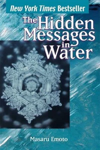 The Hidden Messages in Paperback - Picture 1 of 4