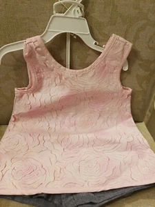 CYNTHIA ROWLEY 2PC SHORT SET PINK/ DENIM NWT 4T - Picture 1 of 11