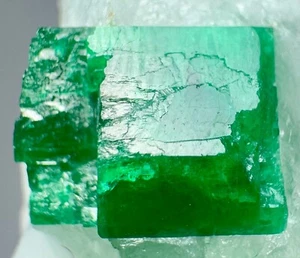 260 Karat gut abgeschlossene hochwertige Klatsche Smaragd Kristalle auf Milchquarz - Bild 1 von 24