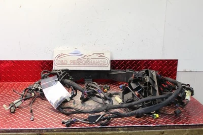 Harley Electra Glide 2014 arnés de cableado principal refrigerado por agua seguridad AB EG134 Foto 1 de 4