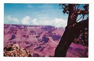 VTG Postcard Grand Canyon National Park, Arizona - Picture 1 of 2