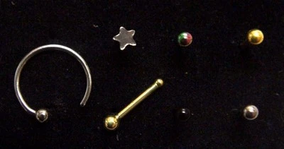 Star / Round Ball / Ring 20g 22g Nose Stud Bone Straight Stem Bar Screw Jewelry Foto 1 de 2
