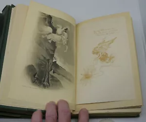 1904 GUSTAVE FLAUBERT EDITION DE LUXE BOOKS, 5 VOLUMES, DUNNE ILLUSTRATED - Foto 1 di 12