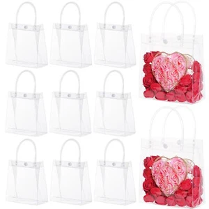 25Pcs Clear PVC Gift Bags with Handles Small Transparent Reusable Shopping Bags - Picture 1 of 7