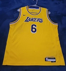 Nike Los Angeles Lakers Swingman Jersey Sz. Y-XL LeBron James #6 Icon Edition - Picture 1 of 7