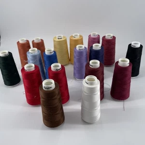 Signature QT 19 Partial Cones Thread 40 Weight Varity Colors Machine Quilting - Picture 1 of 12