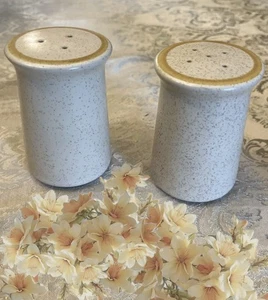 Agitatore sale e pepe in gres Japan Hearthside Garden Festival NUOVO VINTAGE - Foto 1 di 1
