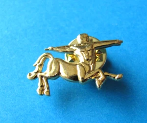 Vintage REMY MARTIN LOGO Pin Badge . Unused. Cognac , Brandy. - Picture 1 of 2