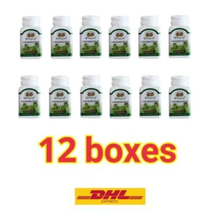 12 Boxes Cissus Quadrangularis Abhaibhubejhr Herbal Dietary Supplement 400 mg. - Picture 1 of 7