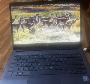 HP STREAM 14-CF2111WM WIN 10 N4120 - 1.10GHZ - 8GB RAM - XMAS 🎄 - Picture 1 of 12