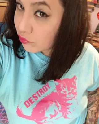 Camiseta Destroy Cat Gats Kitty Cat Art riot grrrl RUINA feminista Foto 1 de 4