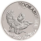 2024 P Australia Platinum Kookaburra 1/10 oz 15 $ - BU