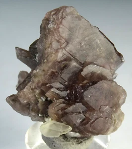 NATURAL AXINITE- 68 CARATS AXINITE CRYSTALS CLUSTER FROM PAKISTAN, (A-525), - Bild 1 von 8