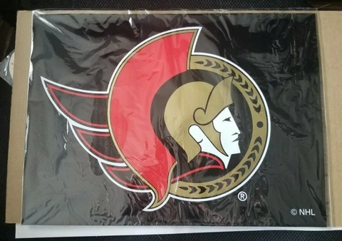 Ottawa Senators - NHL Car Decorating Kit - magnet, 11 vinyl, bumper hangers, air Cover
