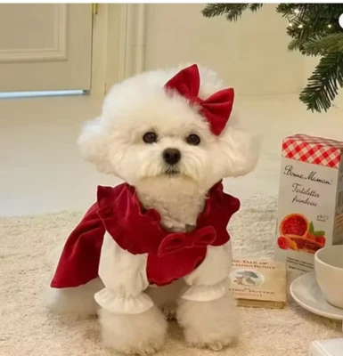 Зимний щенок бант комплект платье теплый домашних животных Рождественская юбка с зажимом для маленьких собак/M - Изображение 1 из 4