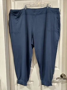 Susan Graver 4X Plus Size Blue Soft Regular Ponte Knit Pull-On Ankle Pants - Picture 1 of 10