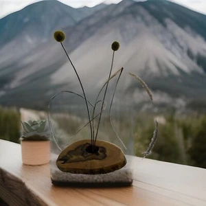 Handmade Black Heart Sassafras Ikebana Tasmanian - Picture 1 of 9