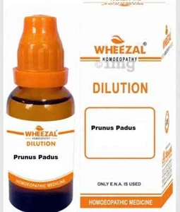 Wheezal Prunus Padus Dilution 200 30ml - Bild 1 von 3