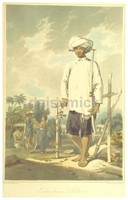 Reprint nbl Last of The Aboriginals Tasmania Australia Lady 1871 7x4 Inch Print