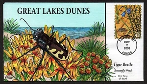USA, SCOTT # 4352-G, COLLINS FDC COVER 2008 GREAT LAKES DUNES, TIGER BEETLE BUGS - Picture 1 of 1