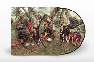 Current 93 Earth Covers Earth (Vinyl) 12" Album Picture Disc - Bild 1 von 1