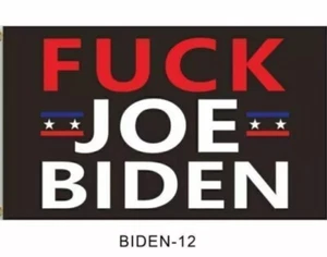 Biden Flag Lot of 10 - Picture 1 of 5