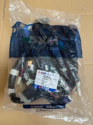 NEW Genuine SYM GTS250 EVO GTS300 EFi Main Wiring Loom Harness 32100-HML-020 - Image 1 of 4