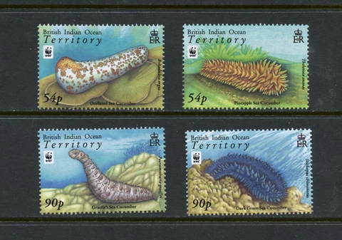 D392  B.I.O.T.  2008  fish marine  sea cucumber  4v.    MNH Cover